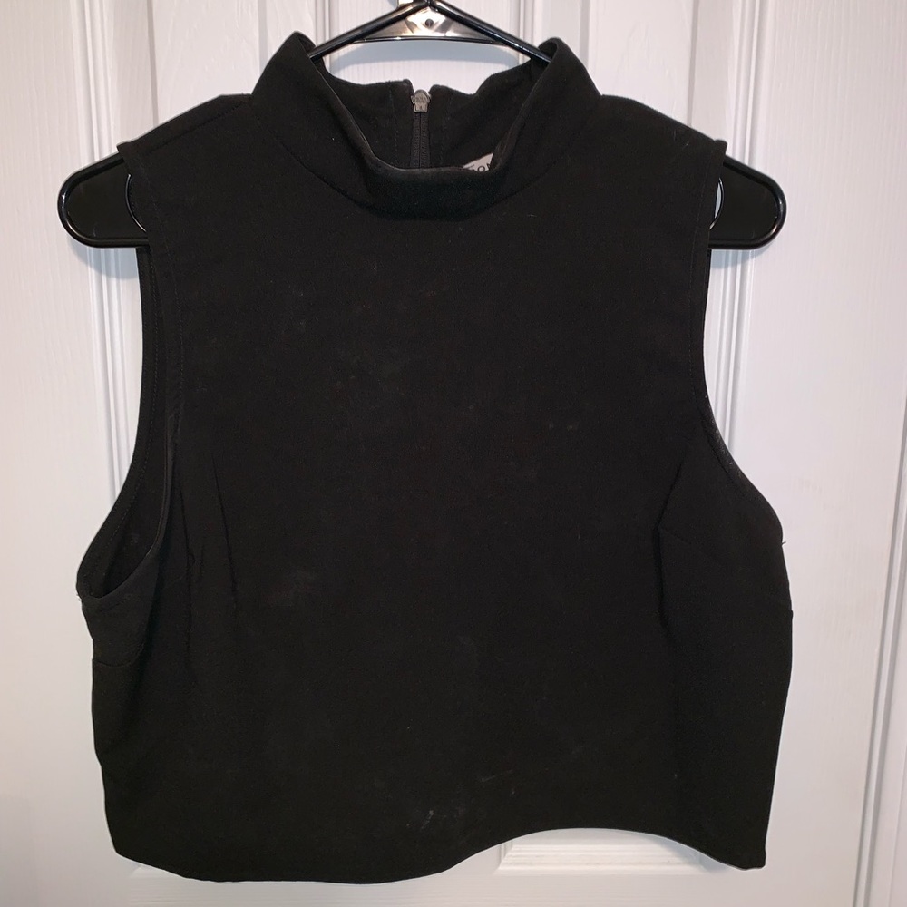 Turtle neck, cropped top